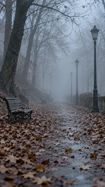 Parc dans le brouillard